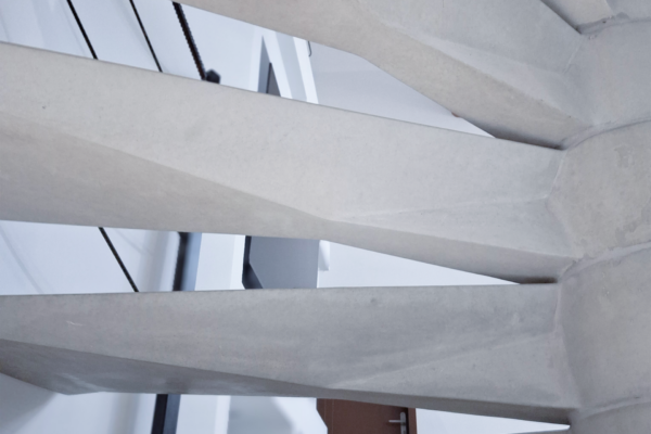 Wings vue dessous